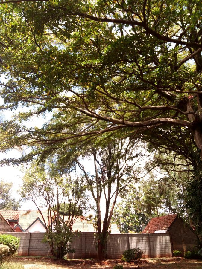 Kijiji Homestay Nairobi Exterior foto